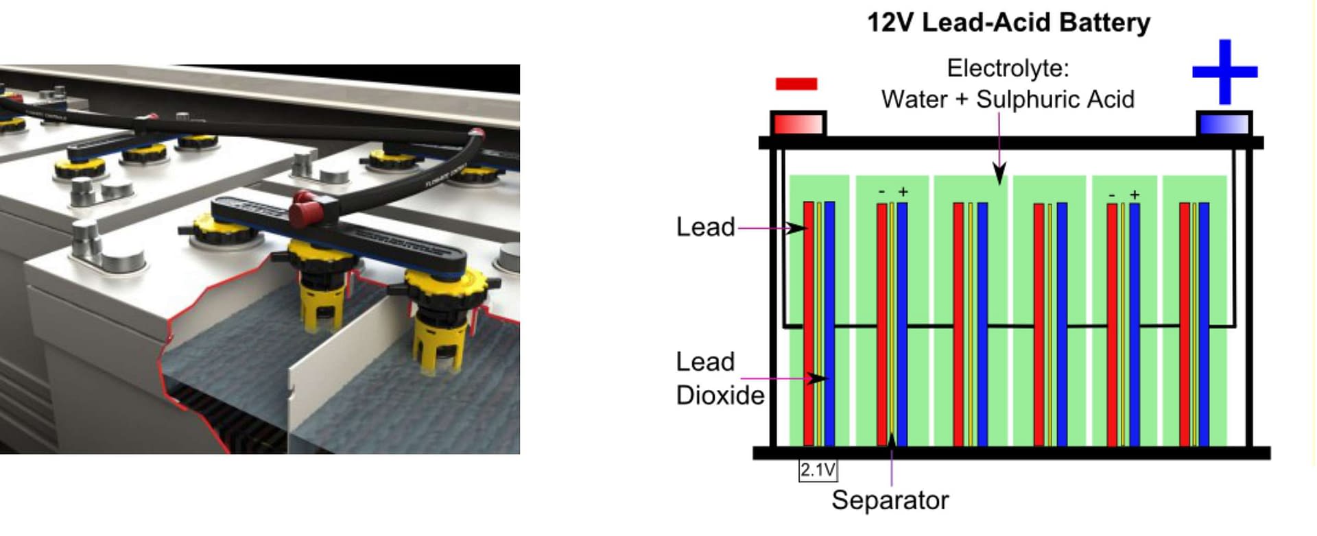 4 Tips to Help Extend the Life of Your Batteries BioShine, Inc.