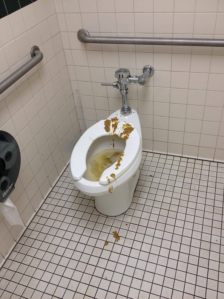 Toilet With Poop